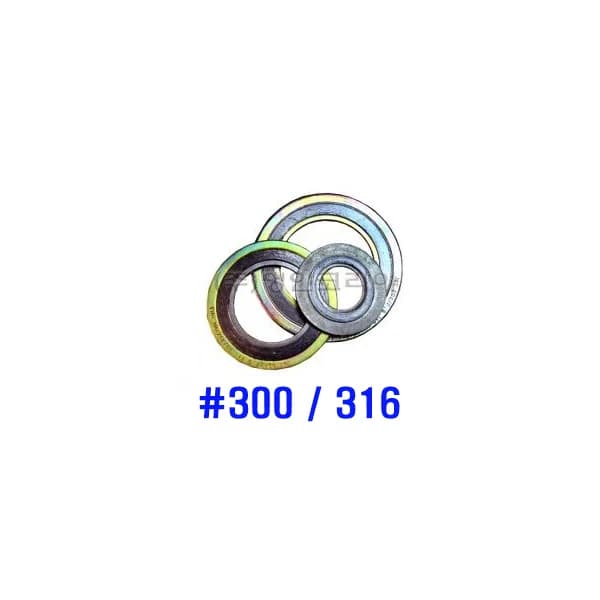 [HANA TOOLS] Metal Gasket Inner Ring (SUS316) Outer Ring (Iron) #300 400A