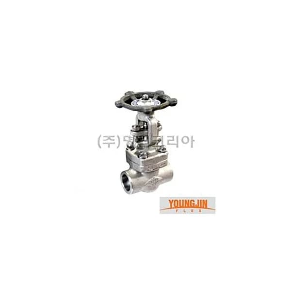 YOUNGJIN FLEX Gate Valve (Thread Type/ F304/ 25A/ 29.72mm/ 13MPa, 1 pc)