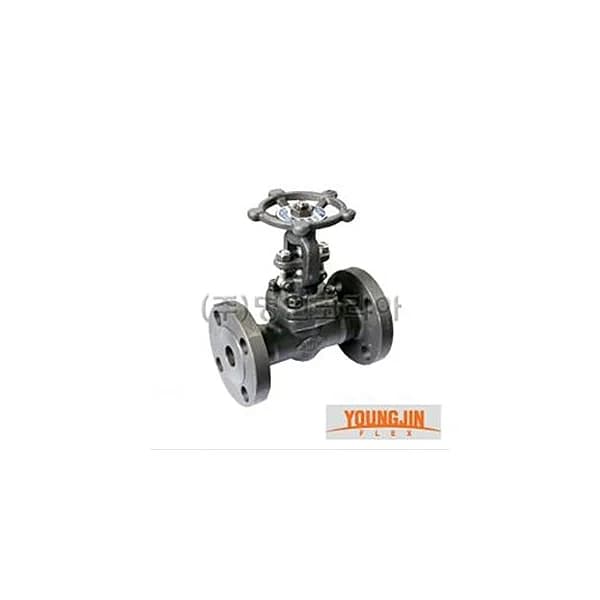 YOUNGJIN FLEX Gate Valve (Flanged/ A105/ 20A/ 20mm/ 0.98~1.96MPa, 1 pc)