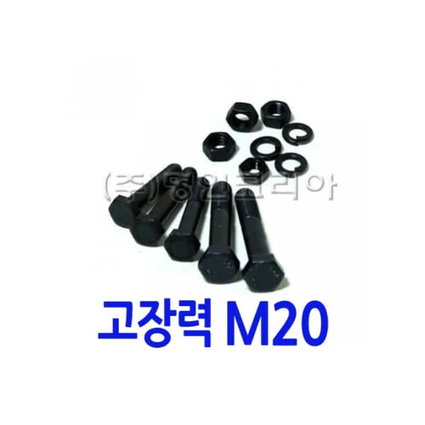 [MYUNGIN KOREA] High - Tensile Hex Bolt (Domestic) C/ R M20*70
