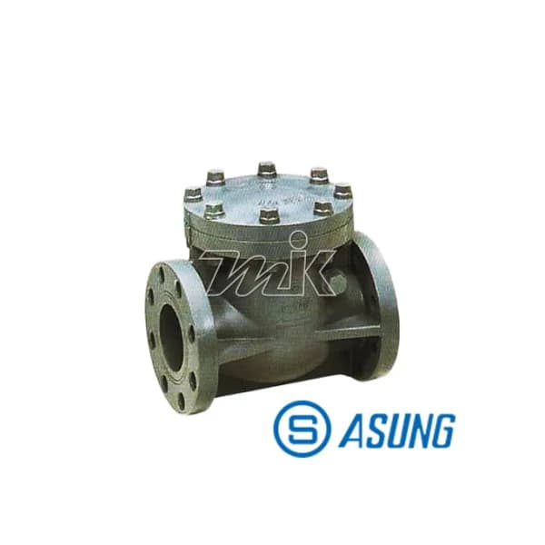 [ASUNG] Swing Check Valve (C - PVC/ FPM) 20A(F)